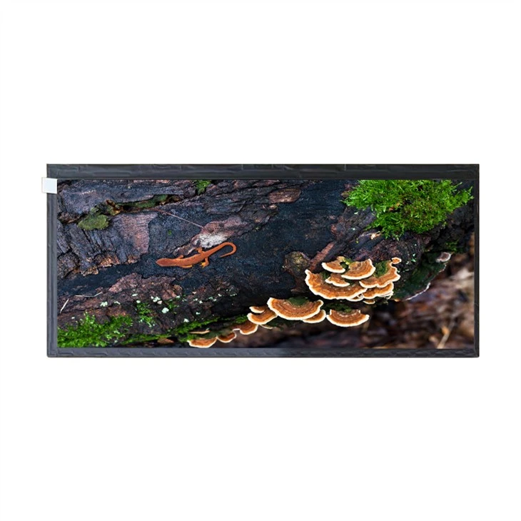 নতুন এবং আসল HannStar 12.3 ইঞ্চি Tft Lcd মডিউল HSD123KPW2-A10 1920*720 30পিন এলসিডি প্যানেল