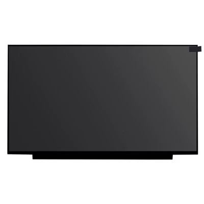 B156HAN15.3 15.6 ইঞ্চি 800*600 LCD স্ক্রীন